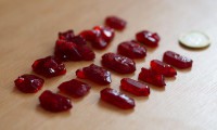 /album/a124/p1010103-small-jpg8/